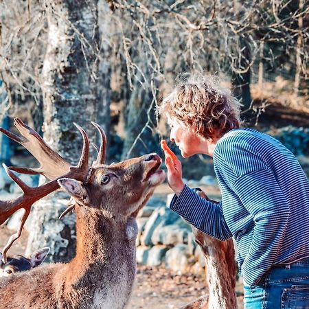 فيلا Damwildfarm In Rollerbue Suedschweden Tyringe المظهر الخارجي الصورة