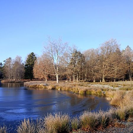 فيلا Damwildfarm In Rollerbue Suedschweden Tyringe المظهر الخارجي الصورة