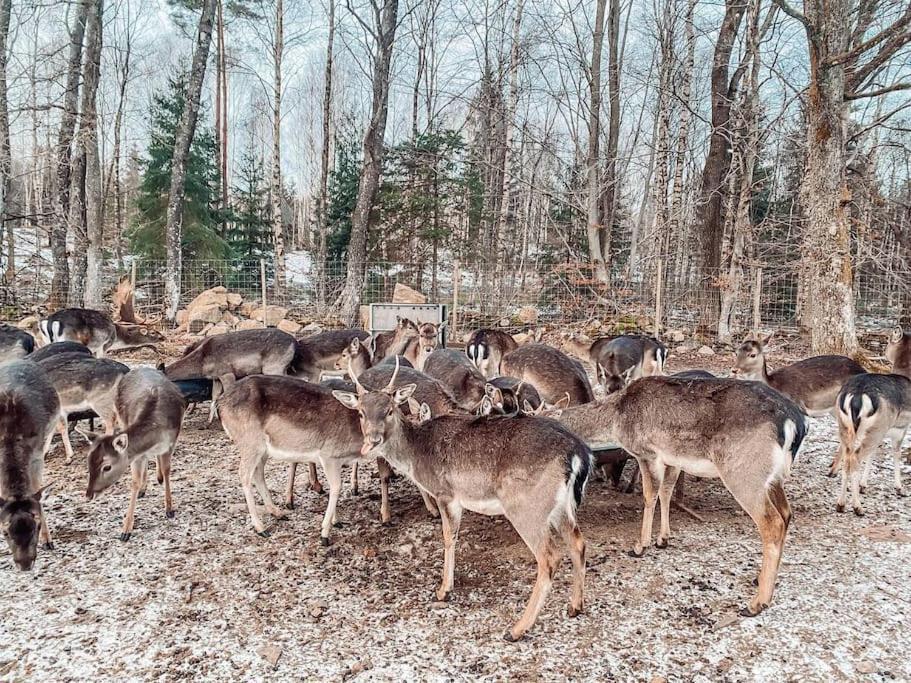 فيلا Damwildfarm In Rollerbue Suedschweden Tyringe المظهر الخارجي الصورة