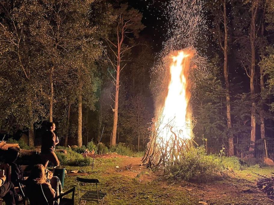 فيلا Damwildfarm In Rollerbue Suedschweden Tyringe المظهر الخارجي الصورة