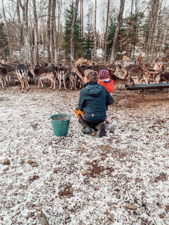 فيلا Damwildfarm In Rollerbue Suedschweden Tyringe المظهر الخارجي الصورة