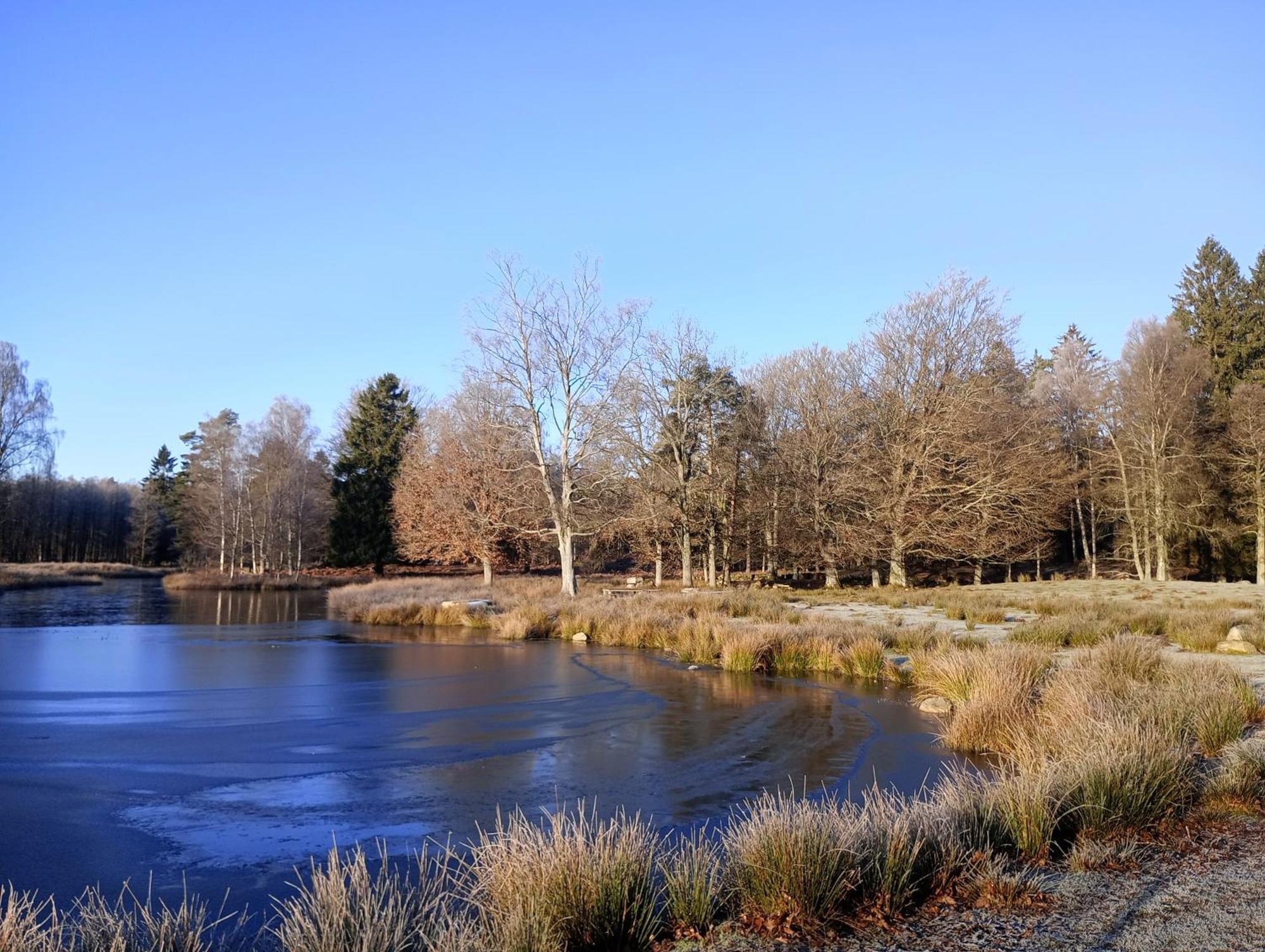 فيلا Damwildfarm In Rollerbue Suedschweden Tyringe المظهر الخارجي الصورة